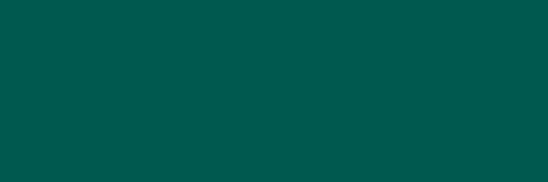 Pś EMERALD FOREST RETT. 25x75 G.1 BC
