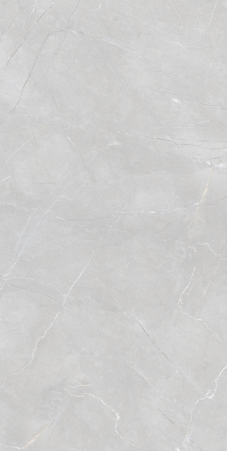 Pp LICEO BIANCO 60X120 MATT+CARVING G1.IMP1