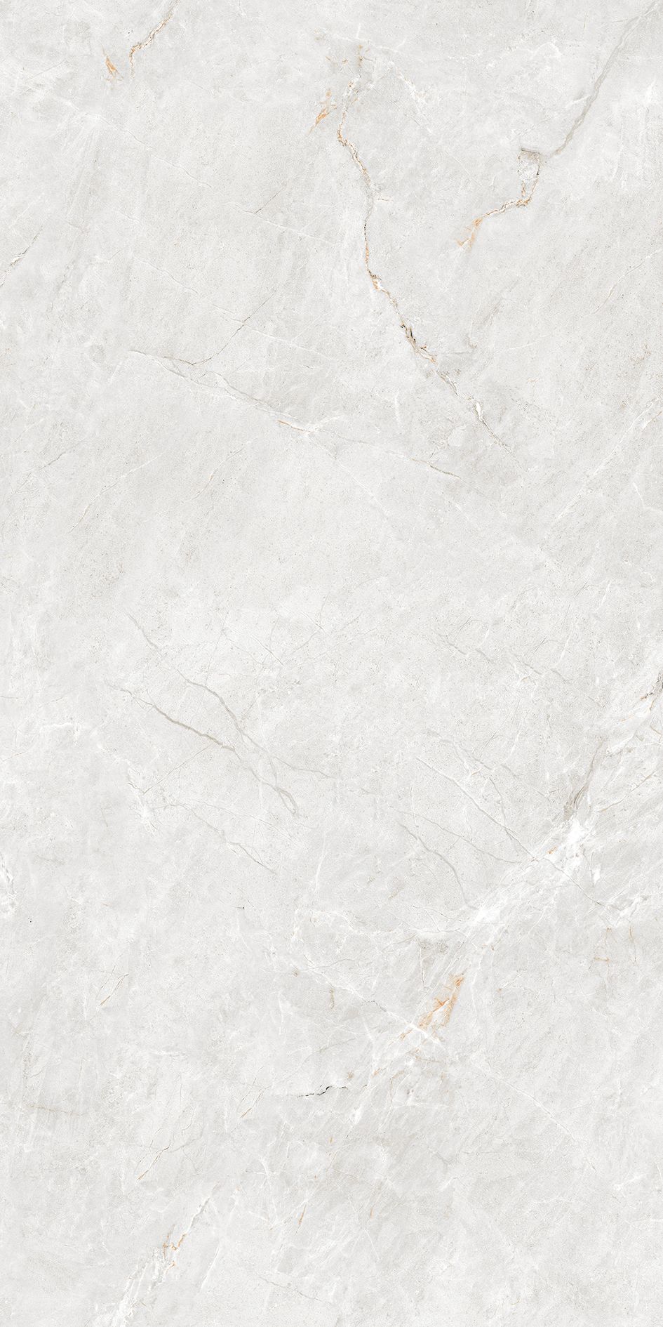 Pp FORESTER BIANCO 60X120 MATT+CARVING G1.IMP1
