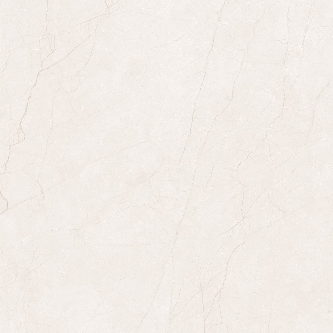 DELICE ROAST 120X120 MAT+CARVING G.1 IMP1 preview