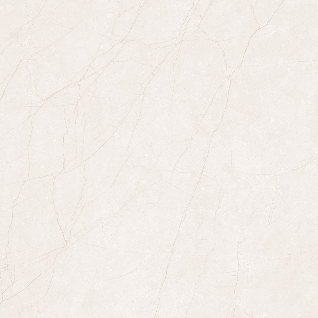 DELICE ROAST 120X120 MAT+CARVING G.1 IMP1 preview